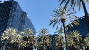 Image of Office Buildings with Palm Trees Outside