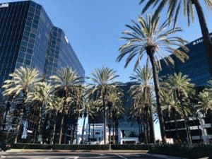 Image of Office Building with Palm Trees