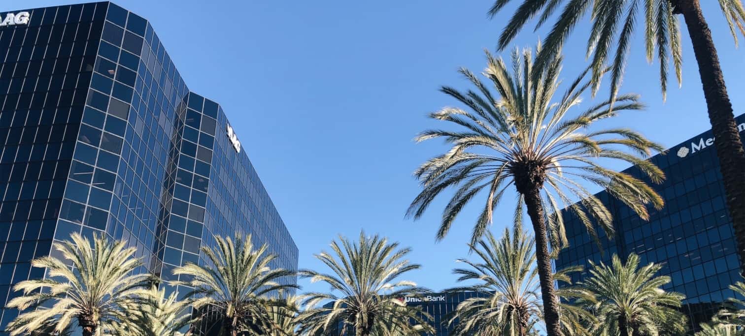 Image of Office Building with Palm Trees Outside